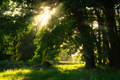 Sun_BeamsFormat 16:9Resolution 3840x2160