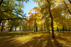 Autumn Park 
Format 16:9
Resolution 3840x2160