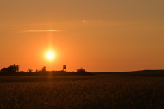 Sunset 
Format 16:9
Resolution 3840x2160
