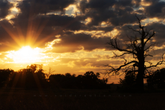 Rogalinek 
Format 16:9
Resolution 3840x2160