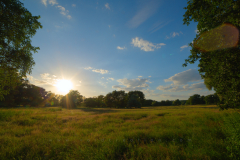 Sunrise_Rogalin Format 16:9Resolution 3840x2160