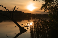 Rusałka Lake
Format 16:9
Resolution 3840x2160