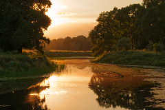 PondFormat 16:9Resolution 3840x2160