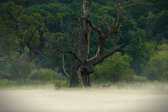 branchFormat 16:9Resolution 3840x2160