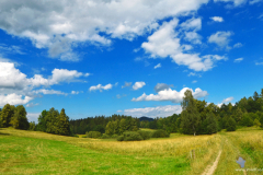 Nature View Format 16:9Resolution 3840x2160