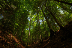 Krynica_Zdrój Format 16:9 Resolution 3840x2160