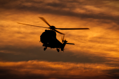 Caracal Format 16:9 Resolution 3840x2160