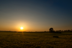 Puszcza Zielonka 
Format 16:9
Resolution 3840x2160
