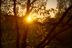  Rogalinek Format 16:9Resolution 3840x2160