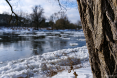 Warta_river_winter_2 Format 16:9Resolution 3840x2160