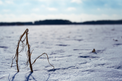 Winter in the field Format 16:9Resolution 3840x2160