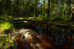 Puddle Format 16:9 Resolution 3840x2160