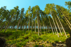 Góry BystrzyckieFormat 16:9 Resolution 3840x2160