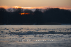 Frozen_lake