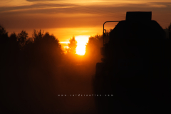 05_sunset_buffalo