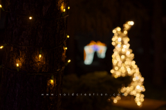 Jarmark_targi_2023