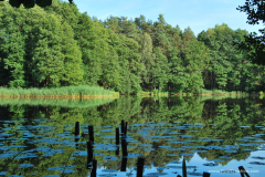 The_Lake