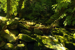 Karkonoski Park Narodowy