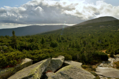 Karkonosze