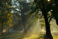 Sunrise_park