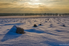 Another winter