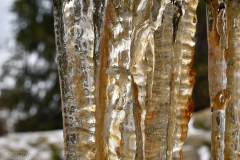 ice_icicle2