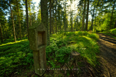 shrine_góry_bystrzyckie