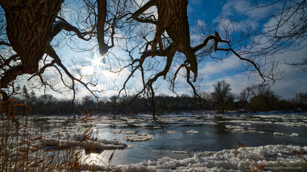 Warta_river_winter