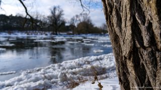 Warta_river_winter_2