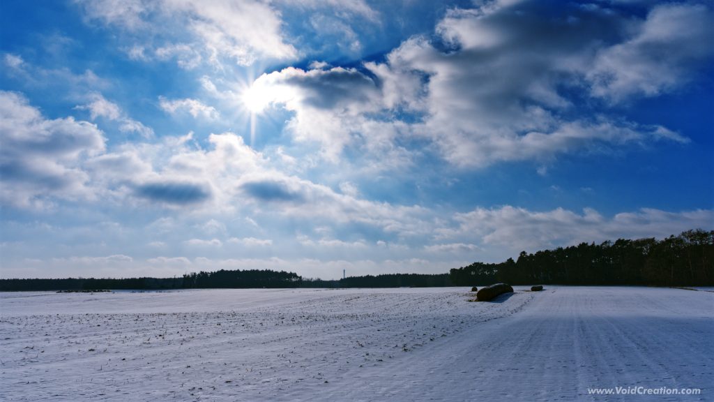 Winter in the field_2
